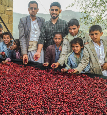 Yemen Anaerobic Slow Dry 4 Day Natural Al-Khanshali Estate V