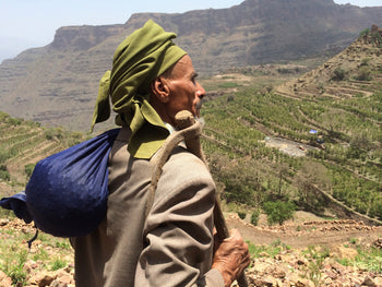 Yemen Anaerobic Slow Dry 4 Day Natural Al-Khanshali Estate V