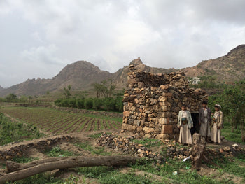 Yemen Anaerobic Slow Dry 4 Day Natural Al-Khanshali Estate V
