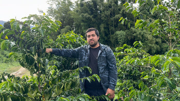 Colombia Geisha Natural