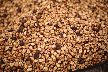 Ethiopia Honey Sidama