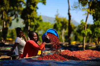 Ethiopia Honey Sidama