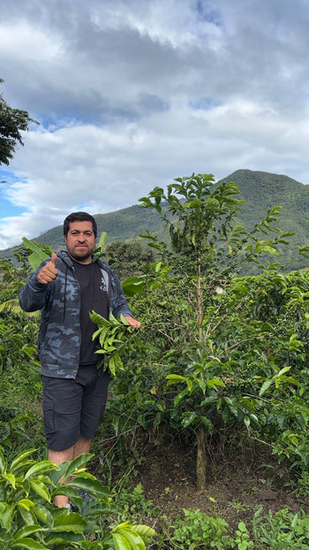 Colombia Geisha Natural