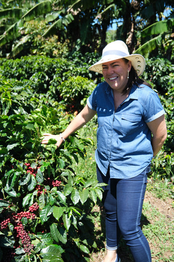 COSTA RICA LAURINA BLACK DIAMOND NATURAL