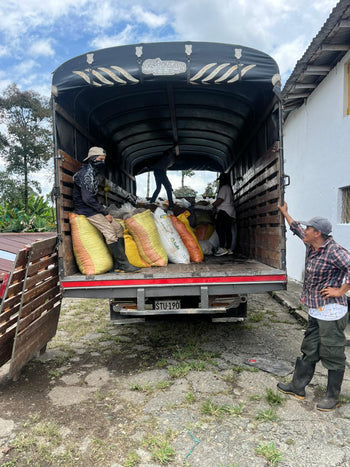 Colombia Pink Bourbon Natural