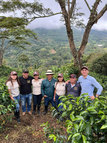 Colombia Geisha Anaerobic Washed