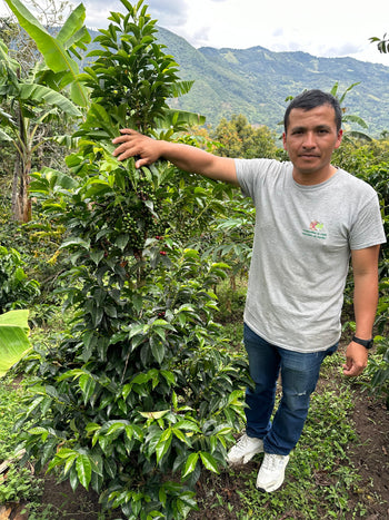 Colombia Geisha Anaerobic Washed