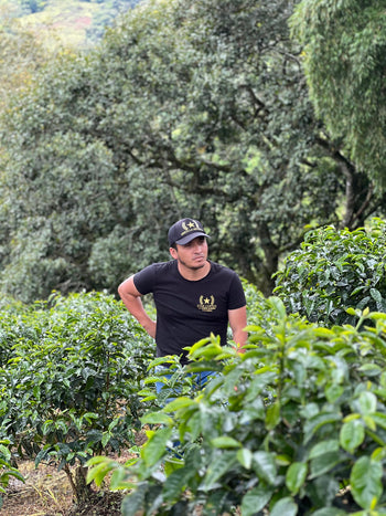 Colombia Geisha Anaerobic Washed
