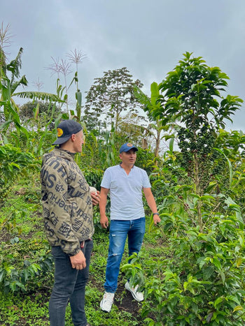 Colombia Geisha Anaerobic Washed