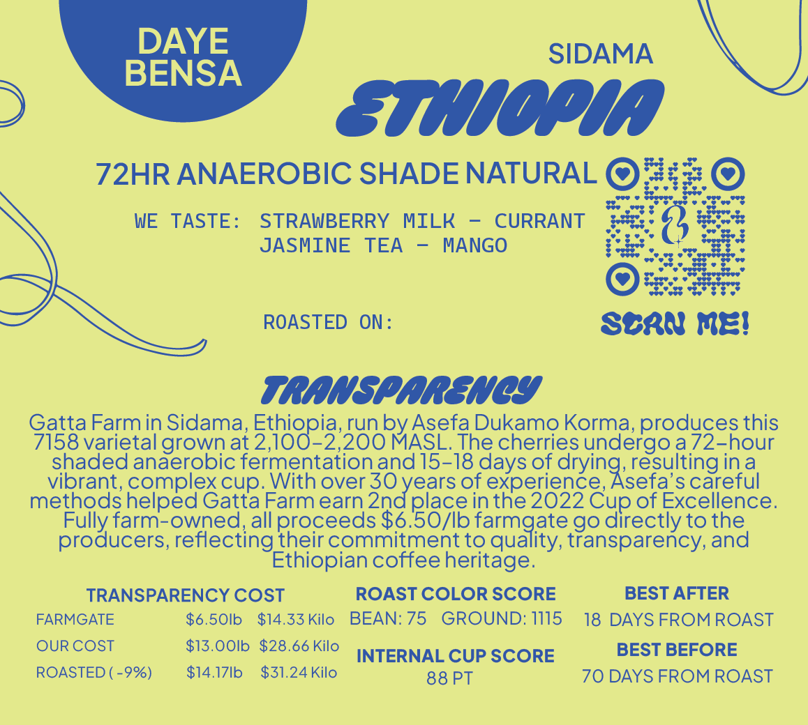 Ethiopia 72HR Anaerobic Shade Natural