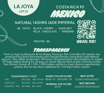 Mexico COSTA RICA 95 Natural 140hr IMPERIAL JADE Lot 22
