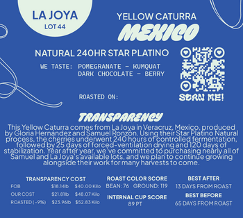 Mexico Yellow Caturra Natural 240hr Lot 44