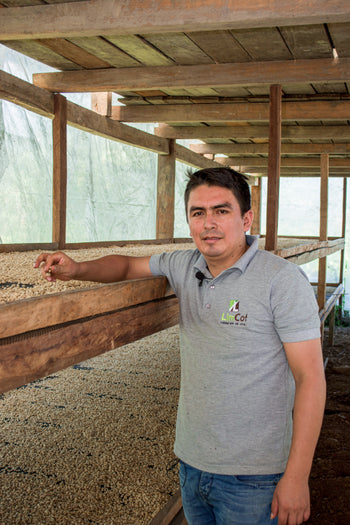 Peru Finca Ecológica Gesha Washed