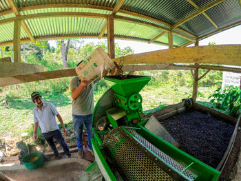 Peru Finca Ecológica Gesha Washed