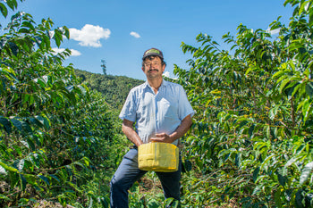 Peru Finca Ecológica Gesha Washed